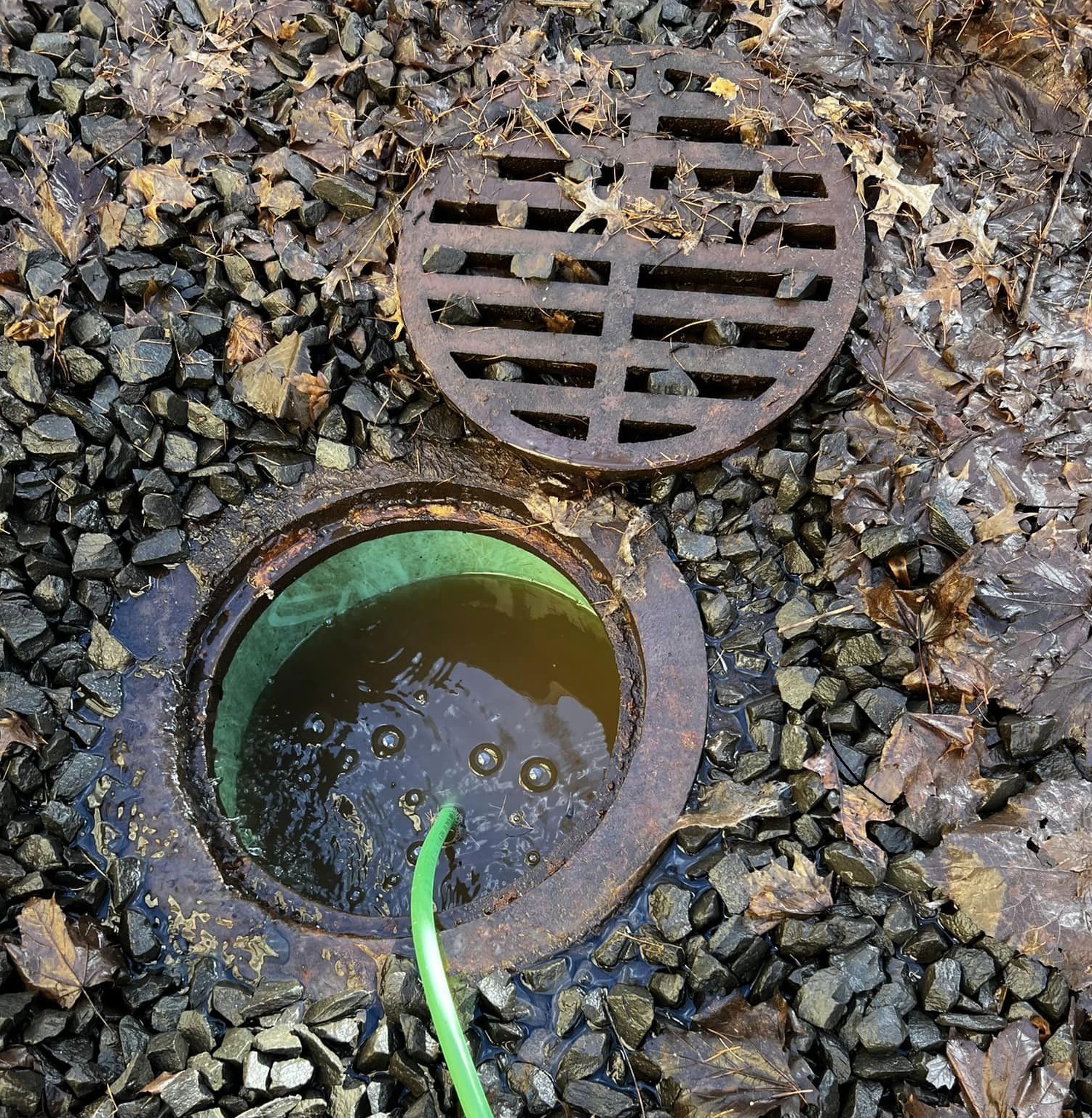 Clogged Sewer